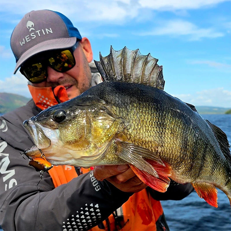 Westin Ricky The Roach Tungsten Vibration Lures